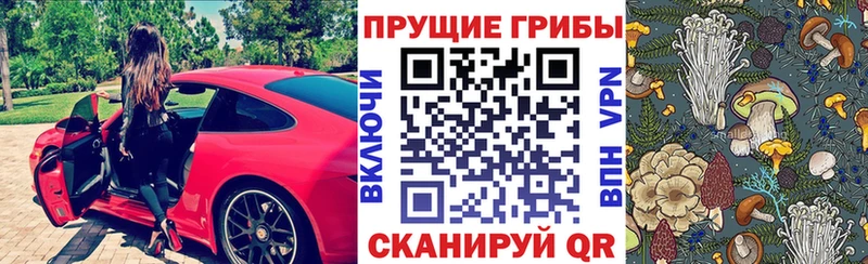 Псилоцибиновые грибы ЛСД  ОМГ ОМГ зеркало  Алагир 